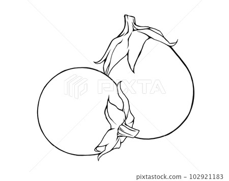 Simple line drawing illustration of two overlapping round eggplants Simple line drawing illustration of two overlapping round eggplants 102921183