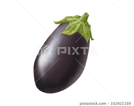 Realistic and beautiful rice eggplant watercolor illustration 102921189