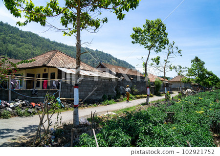 Scenery of a small village on the Kintamani plateau Scenery of a small village on the Kintamani plateau 102921752