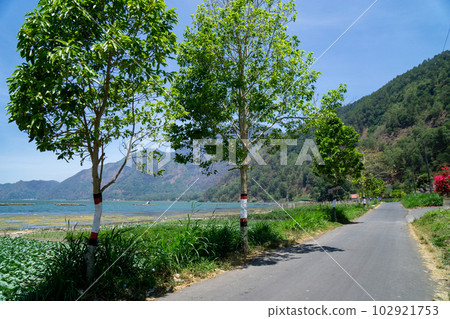 Road leading to Trunyan Village on Kintamani Plateau Road leading to Trunyan Village on Kintamani Plateau 102921753