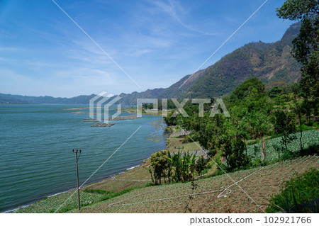 Lush greenery and mountain scenery on the shores of Lake Batur 102921766