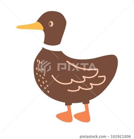 sticker design with cute duck sticker design with cute duck 102921806