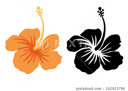 Flower of tropical image Hibiscus icon, illustration set 102923786