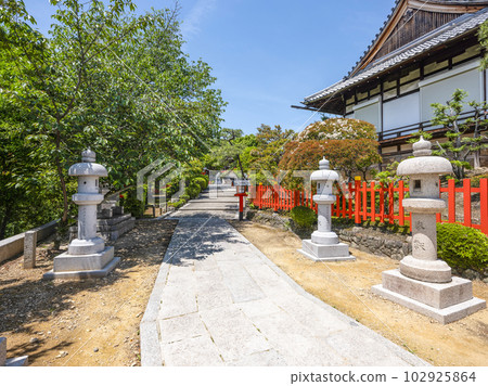 Kenkun Shrine (Kita Ward, Kyoto) Approach to the main shrine 102925864