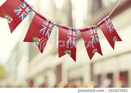 A garland of Bermuda national flags on an abstract blurred background 102925981