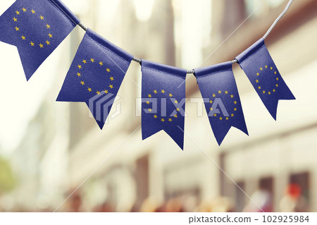 A garland of European Union national flags on an abstract blurred background 102925984