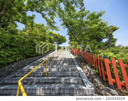 Kenkun Shrine (Kita Ward, Kyoto) Approach to the main shrine 102926039