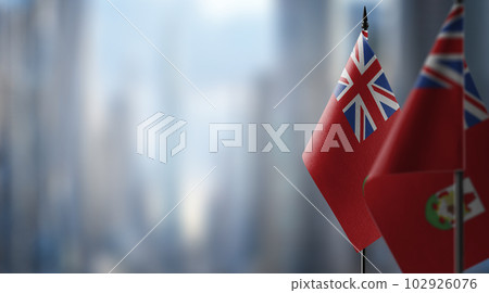 Small flags of the Bermuda on an abstract blurry background 102926076