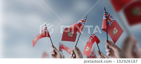 A group of people holding small flags of the Bermuda in their hands A group of people holding small flags of the Bermuda in their hands 102926187