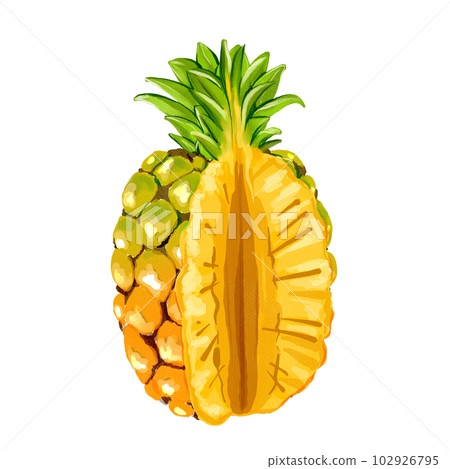 pineapple 102926795