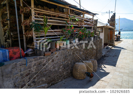 A street corner snap of Trunyan village, a land of wind burial A street corner snap of Trunyan village, a land of wind burial 102926885