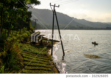 Landscape of telegraph poles submerged in Lake Batur 102926895