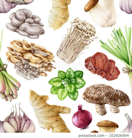 Fresh edible mushrooms, herbs, spices seamless pattern. Watercolor illustration. Hand drawn tasty mushrooms, shiitake, enoki, oyster mushroom, ginger, garlic elements. White background Fresh edible mushrooms, herbs, spices seamless pattern. Watercolor illustration. Hand drawn tasty mushrooms, shiitake, enoki, oyster mushroom, ginger, garlic elements. White background 102926904