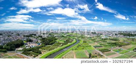 "Saitama Prefecture" The scenery of the summer sky and the swamp rice field taken with a drone 102927194