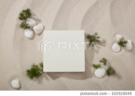 Beautiful natural scenery of the sand with green leaves and white gravels. Empty square podium for product displayed. Stage showcase on minimal podium 102928048