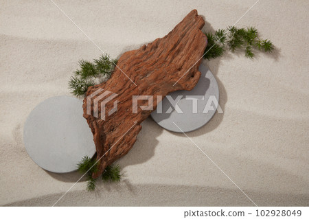 Natural concept with a brown tree branch arranged with two gray podiums in round shape on the sandy background. Blank space to display product 102928049