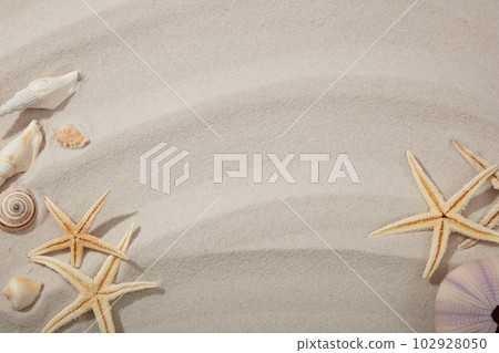 Starfishes and seashells decorated on beach sand background. Copy space, blank space. Template for mockup your design, banner, poster Starfishes and seashells decorated on beach sand background. Copy space, blank space. Template for mockup your design, banner, poster 102928050