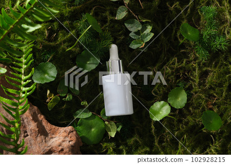 Bottle of serum on forest background with stone, fern, centella and green leaves. Mockup, advertising photo for cosmetic of natural extract. Space for design 102928215
