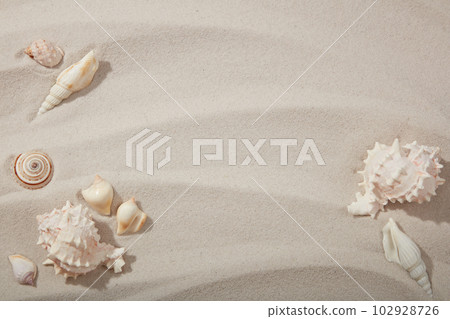 Natural background with different seashells on sandy beach. Background of sand texture with blank space for copy or cosmetic product presentation. 102928726