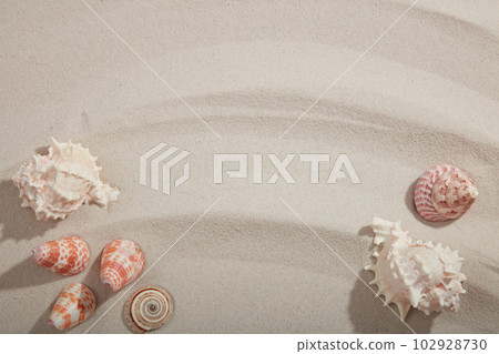 Top view of collection of beautiful seashells decorated on beige smooth sand background. In the middle is space for text and design 102928730
