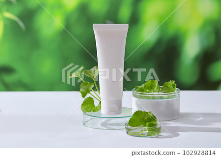 Transparent round podium with white tube standing on, natural green fresh background. Gotu kola (Centella asiatica) has powerful antioxidant activity Transparent round podium with white tube standing on, natural green fresh background. Gotu kola (Centella asiatica) has powerful antioxidant activity 102928814