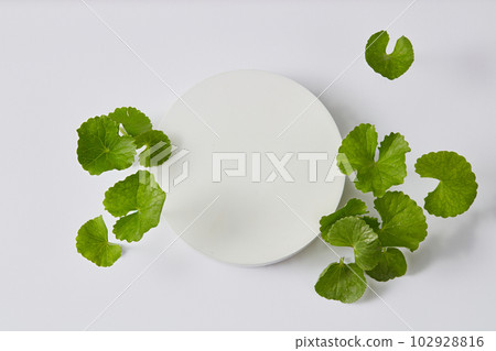 A white podium in round shape with vacant space and several Gotu kola leaves displayed around. Beauty product promotion extracted from Gotu kola (Centella asiatica) 102928816