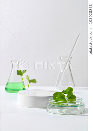 Erlenmeyer flask filled with green liquid with a round podium and Gotu kola leaves. Empty space for product presentation of Gotu kola (Centella asiatica) extract 102928858