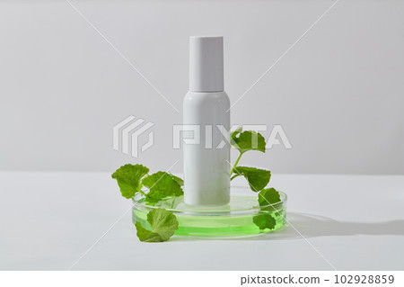 A glass petri dish containing green fluid and an unlabeled bottle. Gotu kola (Centella asiatica) is a medicinal plant that is native to Asia 102928859