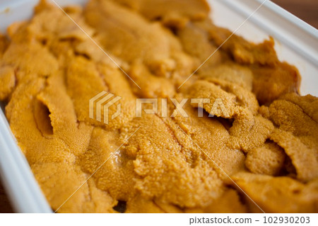來自東北的新鮮海膽 來自東北的新鮮海膽 102930203