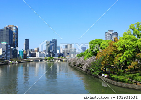 大川河沿岸盛開的櫻花樹和中之島的摩天大樓 大川河沿岸盛開的櫻花樹和中之島的摩天大樓 102931531