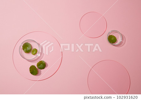 Minimal scene with fresh gotu kola leaves on petri dish and acrylic sheets decorated on pink background. Blank space for display cosmetic or placed mockup. Minimal scene with fresh gotu kola leaves on petri dish and acrylic sheets decorated on pink background. Blank space for display cosmetic or placed mockup. 102931620