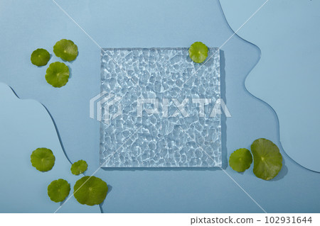 Minimal empty display product presentation scene for cosmetic product from gotu kola ingredient - top view of transparent acrylic sheet and fresh gotu kola leaves decorated on blue background. 102931644