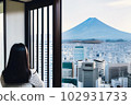 A woman looking out through the window 102931733