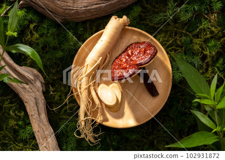 Scene for advertising product with herbal medicine ingredient. Ginseng root and reishi mushrooms on round wooden, twigs and leaves on green moss background. 102931872
