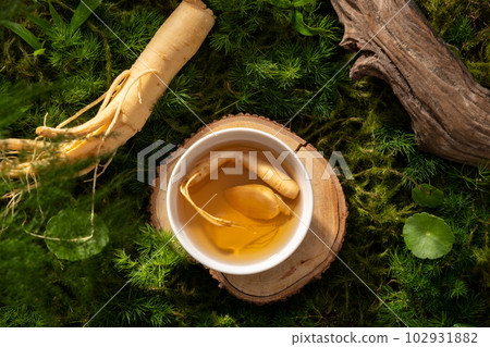 Top view of a bowl of ginseng tonic on a wooden platform, ginseng roots and dried twig decorated on a green moss background. Natural beauty scene. Ginseng is a precious medicine in Korea Top view of a bowl of ginseng tonic on a wooden platform, ginseng roots and dried twig decorated on a green moss background. Natural beauty scene. Ginseng is a precious medicine in Korea 102931882