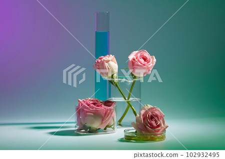 Fresh roses placed on laboratory glassware and decorated on gradient color background. Minimal scene with copy space. Abstract background, research organic cosmetics concept 102932495