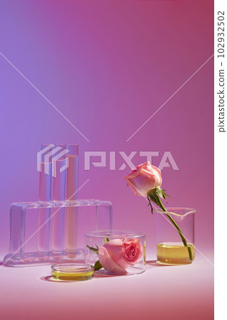 Front view of equipment of laboratory filled liquid and fresh roses decorated on color background. Rose essential oil is common ingredient in many cosmetic preparations for face. Advertising photo Front view of equipment of laboratory filled liquid and fresh roses decorated on color background. Rose essential oil is common ingredient in many cosmetic preparations for face. Advertising photo 102932502
