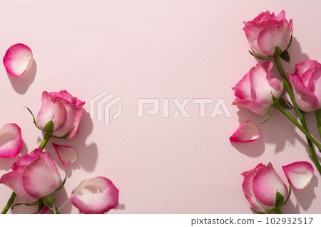Fresh roses decorate on pastel pink background and blank space in the middle. Space for text. Frame with beautiful flower for design card or banner Fresh roses decorate on pastel pink background and blank space in the middle. Space for text. Frame with beautiful flower for design card or banner 102932517