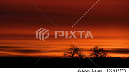 Autumn red sunset with trees on he horizon Autumn red sunset with trees on he horizon 102932753