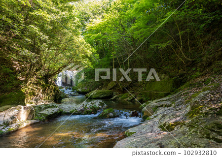 The fresh green scenery of the Dakema Valley and the waterfall where the fresh breeze of early summer shakes the green maple leaves 102932810