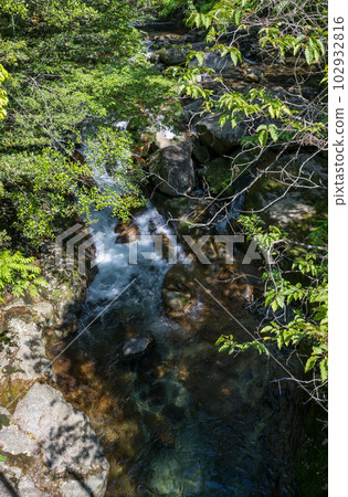The fresh green scenery of the Dakema Valley and the waterfall where the fresh breeze of early summer shakes the green maple leaves The fresh green scenery of the Dakema Valley and the waterfall where the fresh breeze of early summer shakes the green maple leaves 102932816