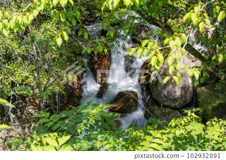 The fresh green scenery of the Dakema Valley and the waterfall where the fresh breeze of early summer shakes the green maple leaves The fresh green scenery of the Dakema Valley and the waterfall where the fresh breeze of early summer shakes the green maple leaves 102932891