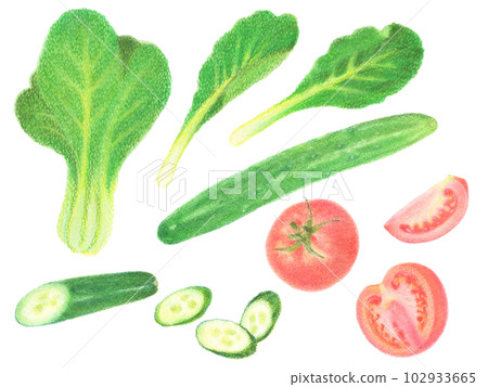 Green and Yellow Vegetable Set Komatsuna, Cucumber, and Tomato Cut Vegetables 102933665