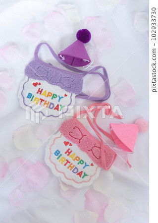 Birthday goods for small dogs and cats 102933730