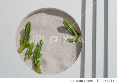 Geometric podium with a round hole featuring some small Cacti on the sand. Vacant space for goods or product presentation Geometric podium with a round hole featuring some small Cacti on the sand. Vacant space for goods or product presentation 102934914
