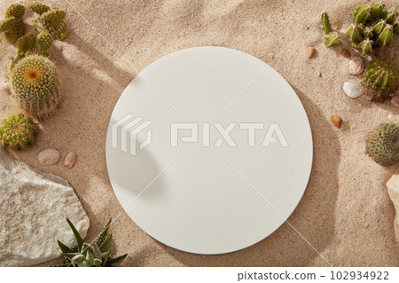Blank round podium in white color decorated on sand background. Decorated with a block of stone, gravels and several types of Cactus 102934922