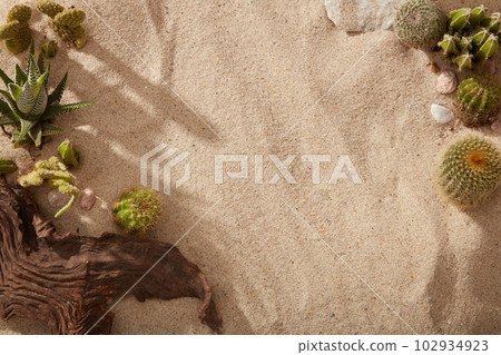 Beautiful natural scenery of the sand with green Cacti, a tree branch and some gravels. Template for mockup your design, banner, poster Beautiful natural scenery of the sand with green Cacti, a tree branch and some gravels. Template for mockup your design, banner, poster 102934923