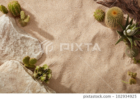 Stylish summer composition with many types of Cactus , white stones and tree branch on the sand. Artwork mockup with copy space 102934925