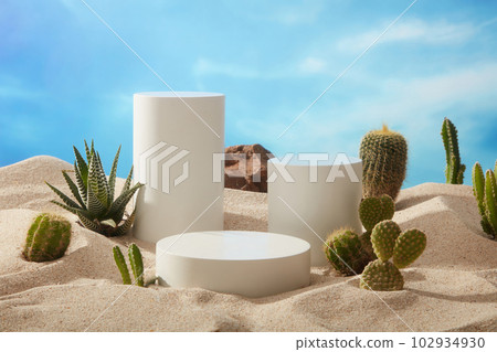The natural landscape with cylinder and round podiums placed on the sand with types of Cactus. Background of blue sky 102934930