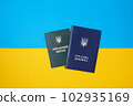 Ukrainian green military ID ticket. Translation 102935169
